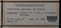 Image Associated With the Occurence